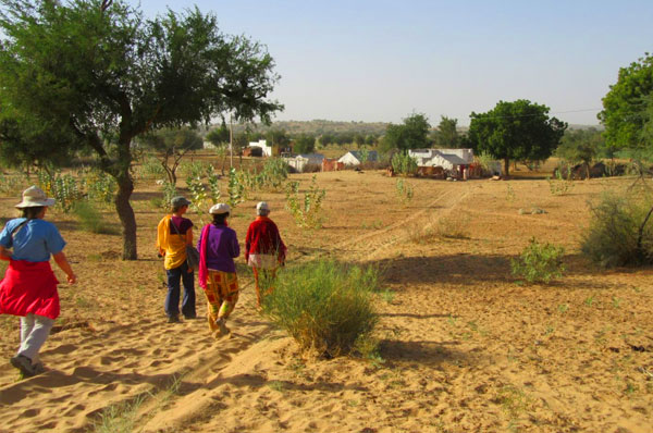 village stay in rajasthan