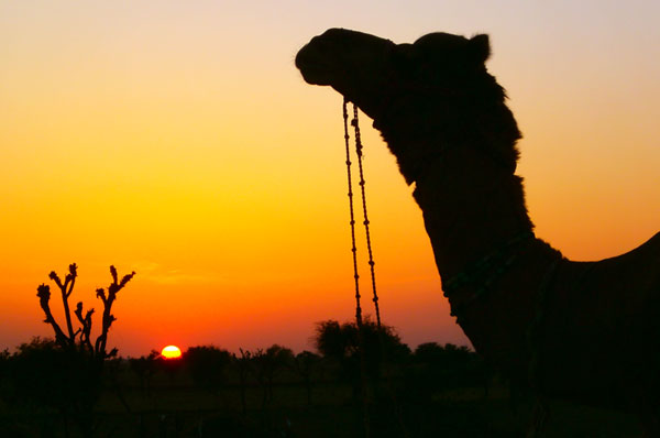 desert sunset photography